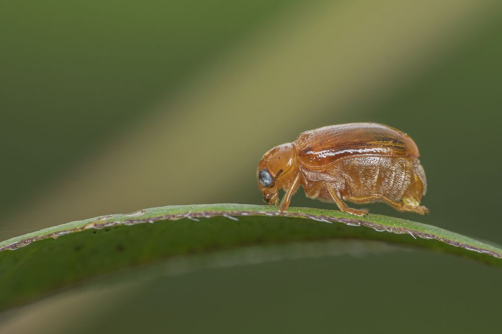 Photograph by Mukesh Tripathi