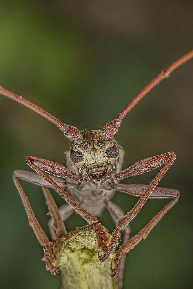 Photograph by Mukesh Tripathi