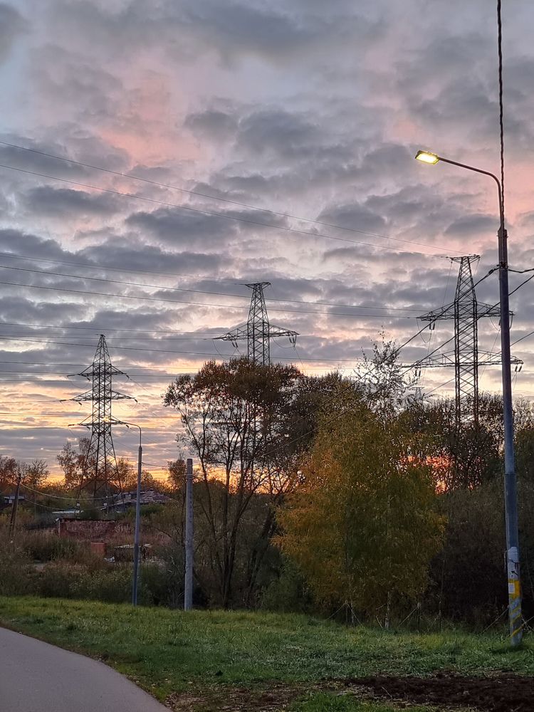 Фотография автора Светлана Алексеева