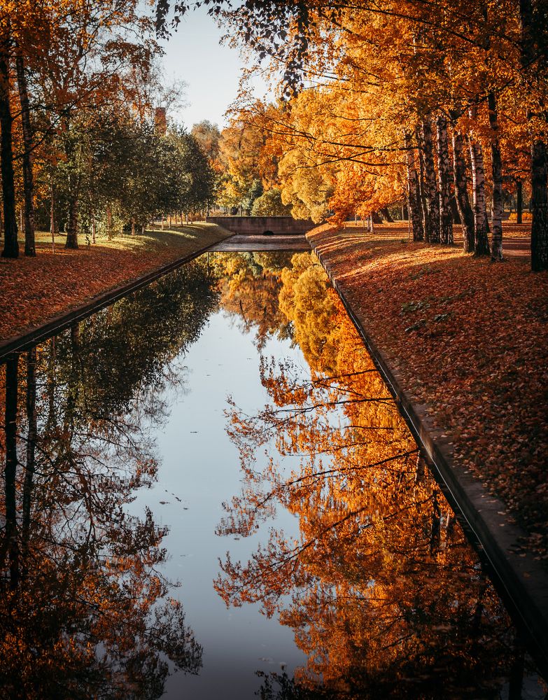 Photograph by Элла Алексеева