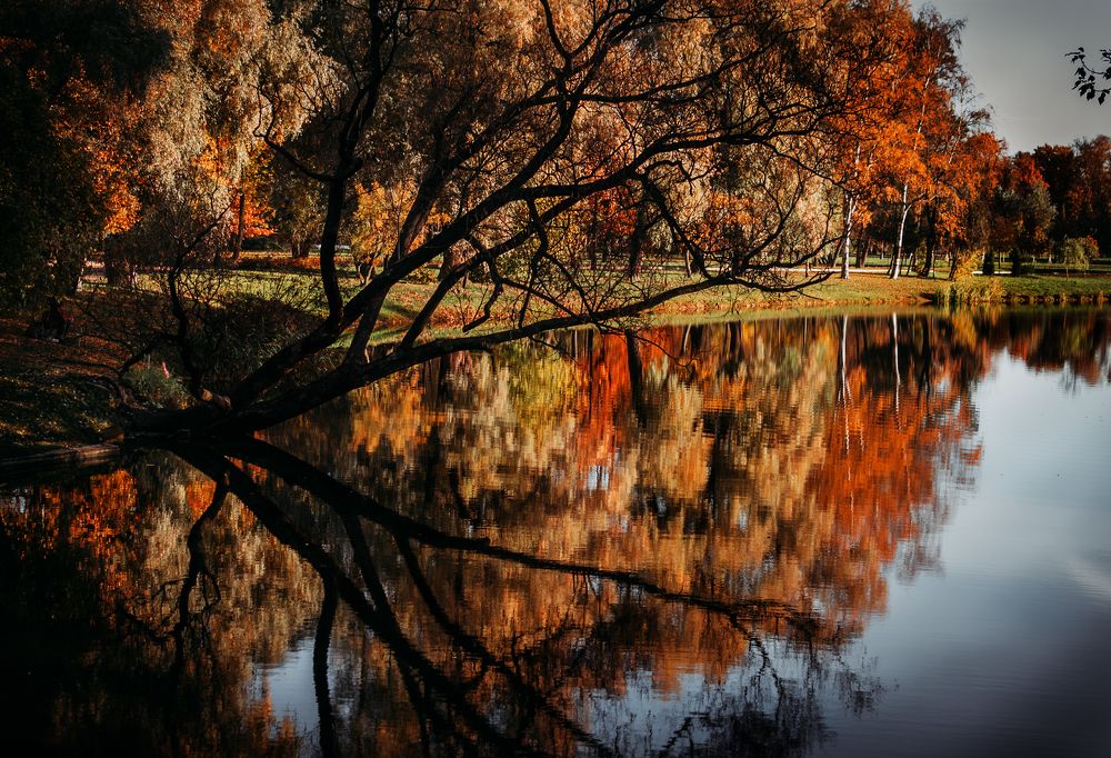 Photograph by Элла Алексеева