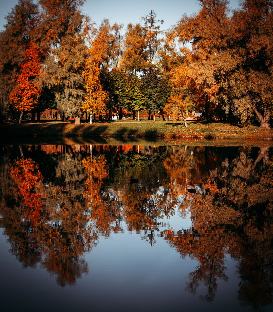 Photograph by Элла Алексеева