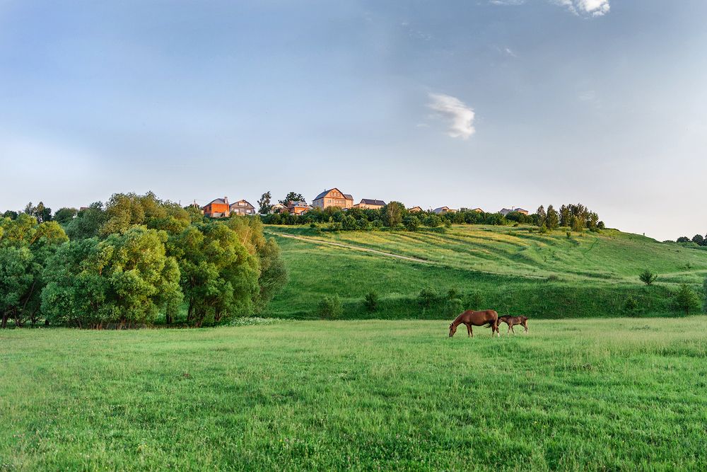 Photograph by Илья Костин