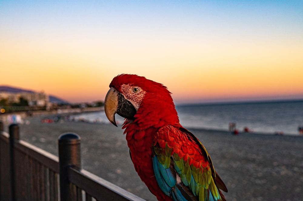 Photograph by Андрей Шишлов