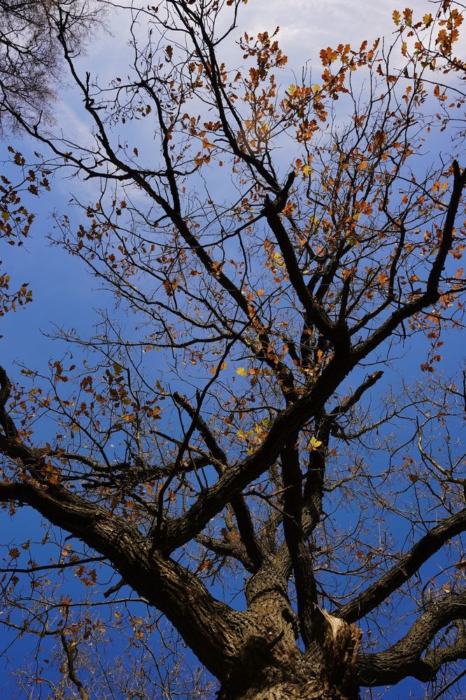 Photograph by Марина Аникина