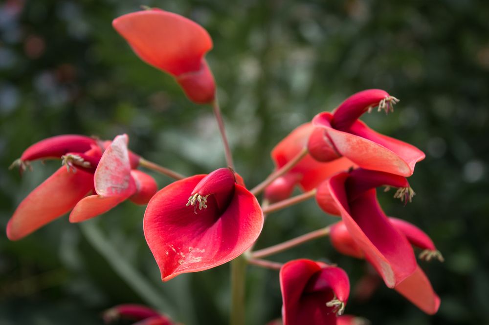 Photograph by Яна Кисловская