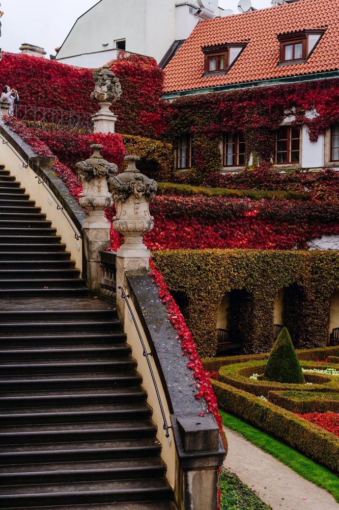 Photograph by Olga Tiurina