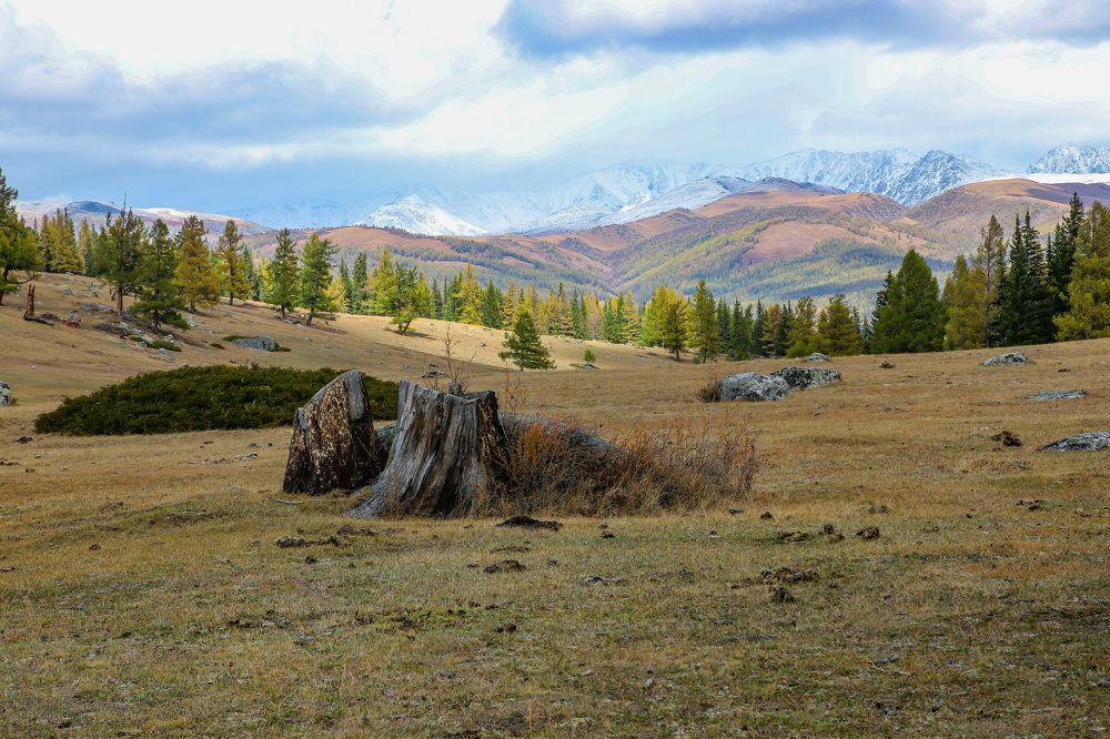 Photograph by Елена Данченко