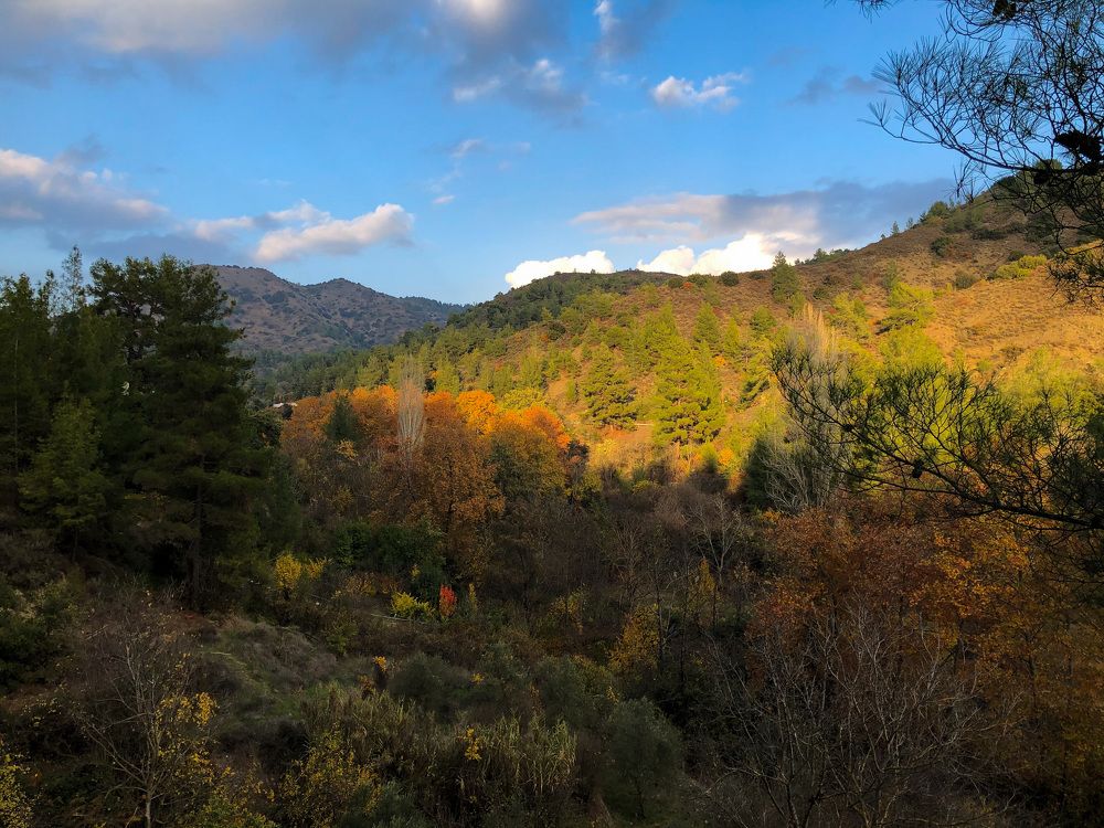 Photograph by Olesia Bulich