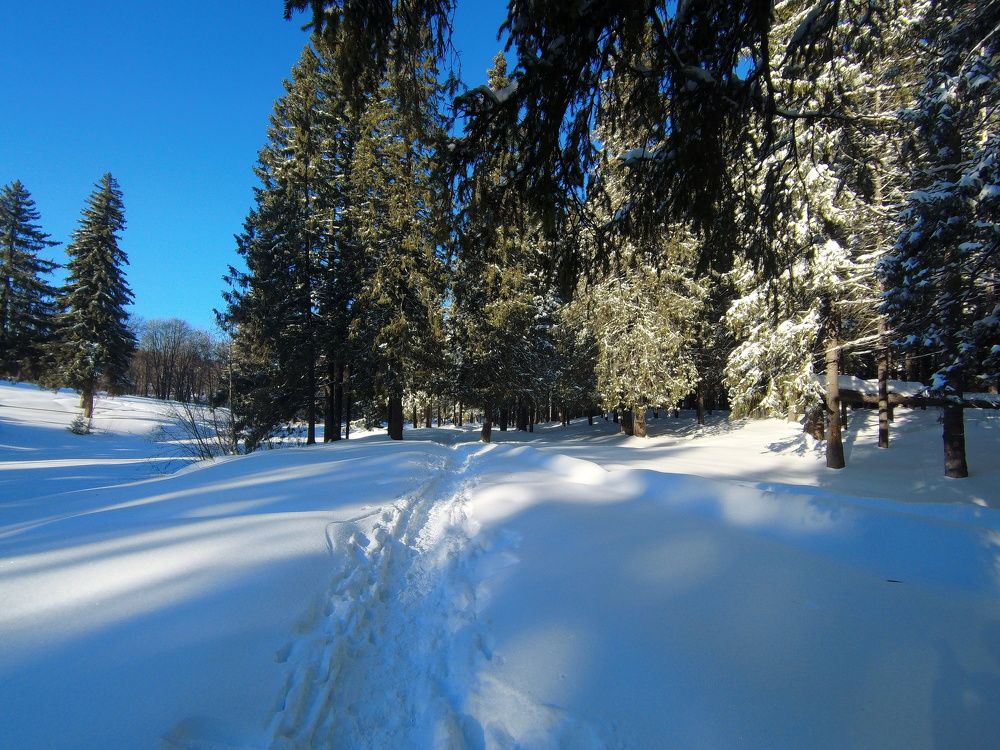 Photograph by Павел Лосев