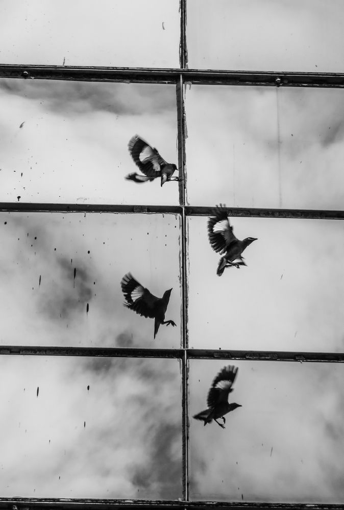 Photograph by Susmita Paul