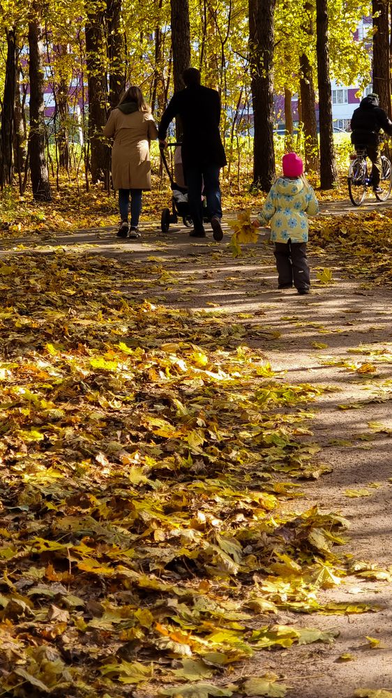 Фотография автора Светлана Алексеева