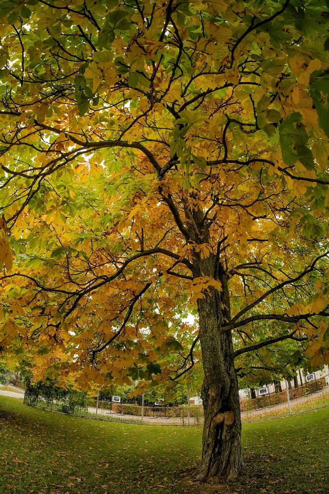 Photograph by Александр Кочергин