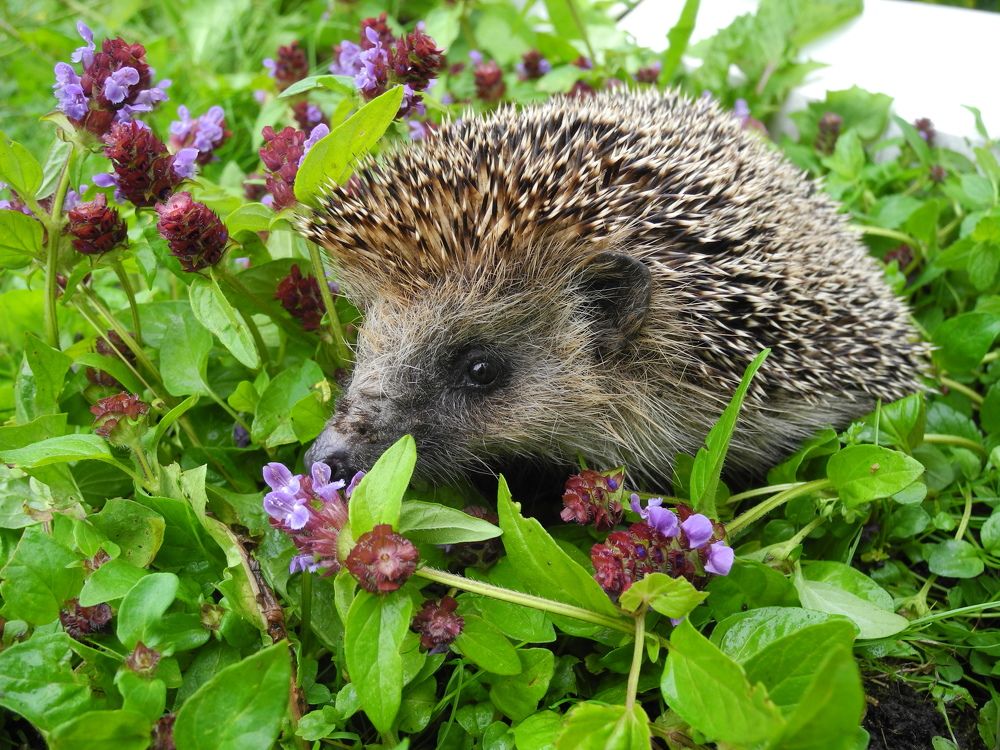 Photograph by Андрей Головин