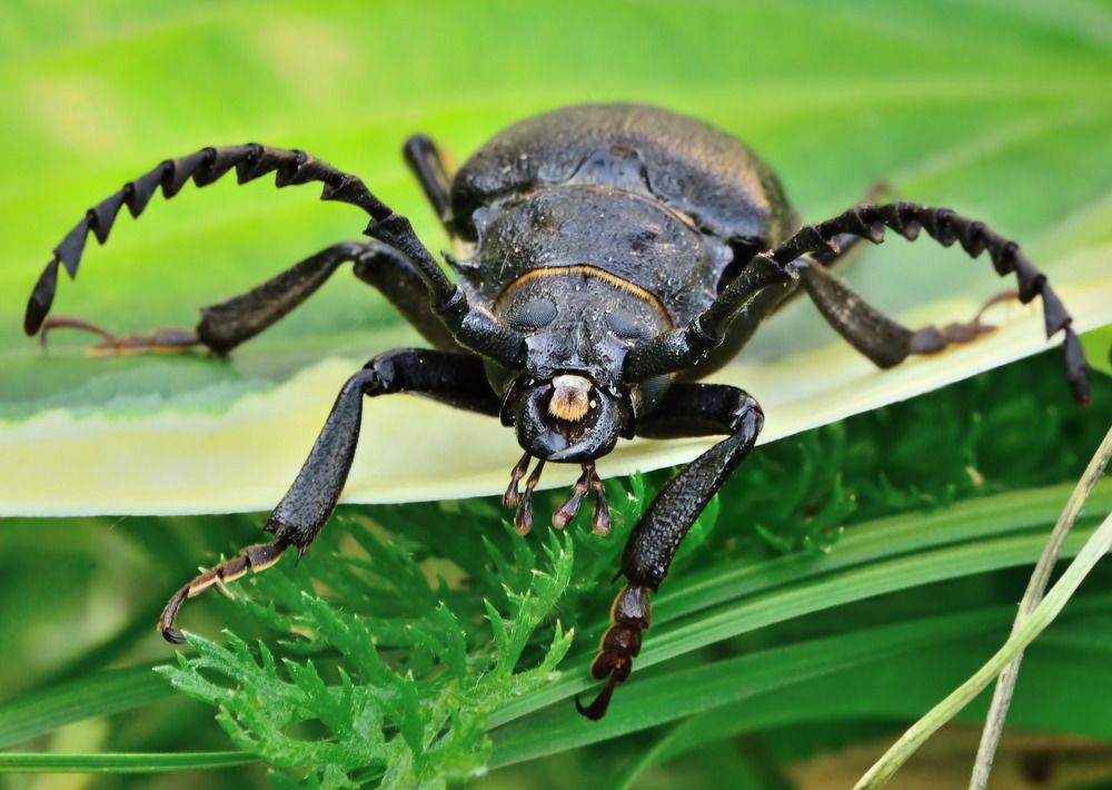 Photograph by Илфир Исламгазин