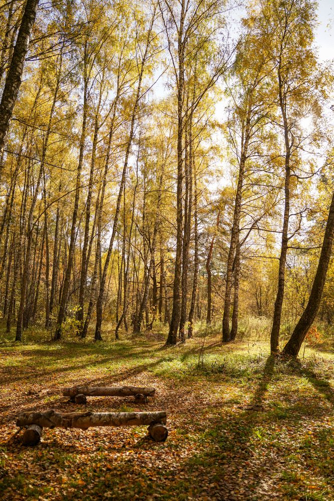 Photograph by Александр Кочергин