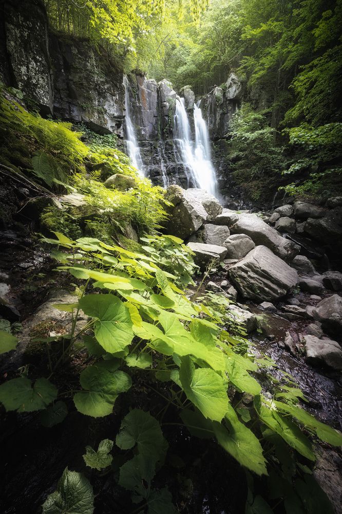 Photograph by Mattia Maniezzo