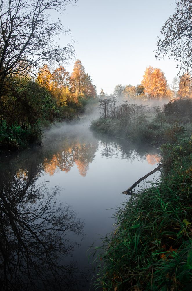 Photograph by Елена Аверина