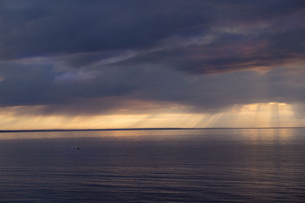 Photograph by Светлана Давыдова