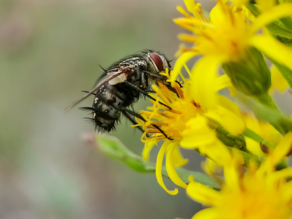 Photograph by Ana Puzar