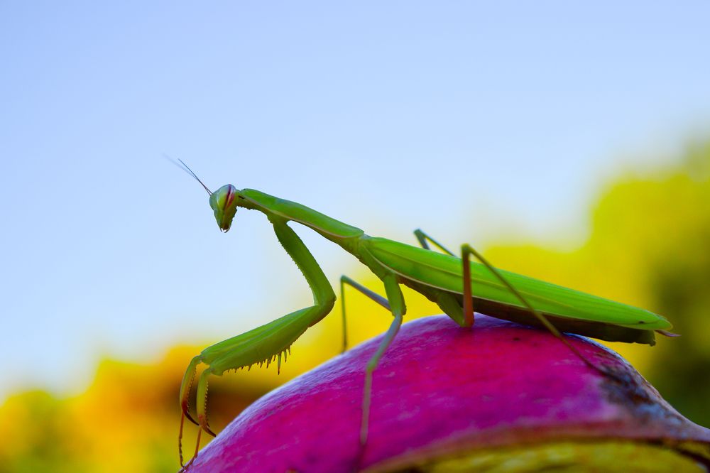 Photograph by Ana Puzar