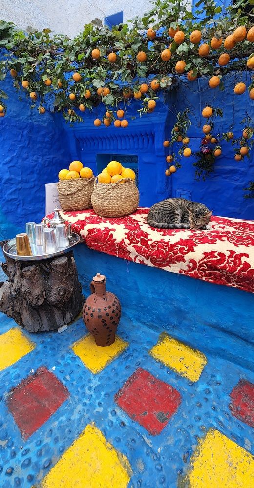 Photograph by Maria Karpov