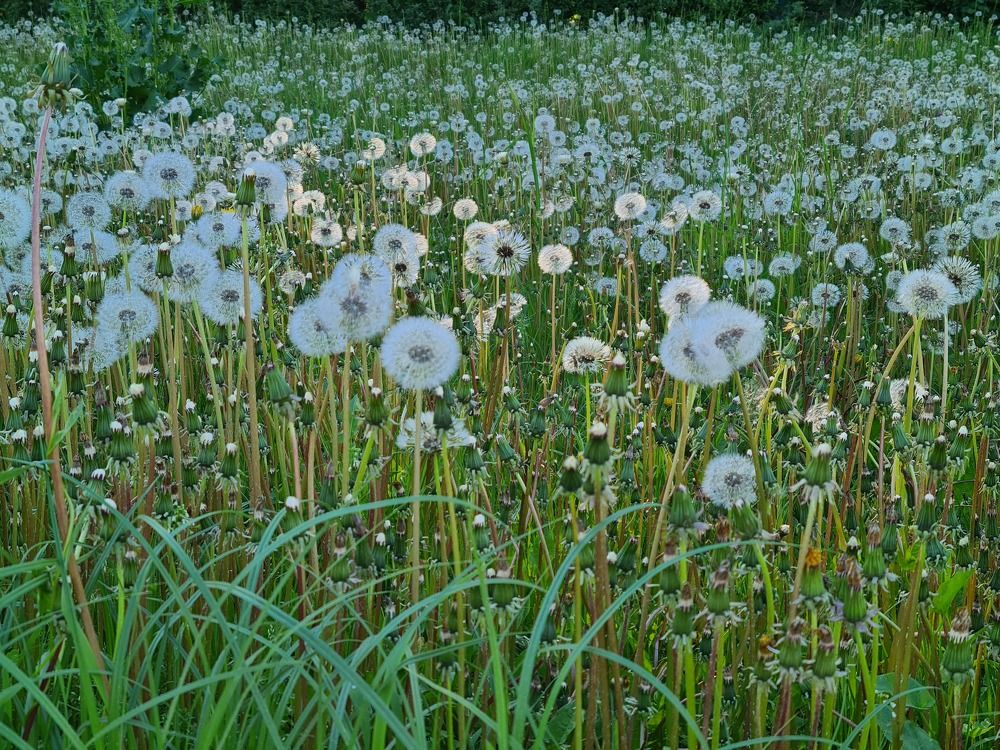 Photograph by Ксения Определенкова