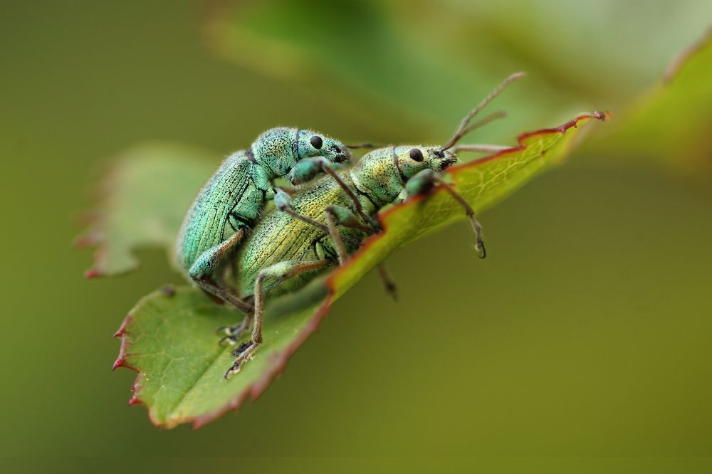 Photograph by Светлана Давыдова