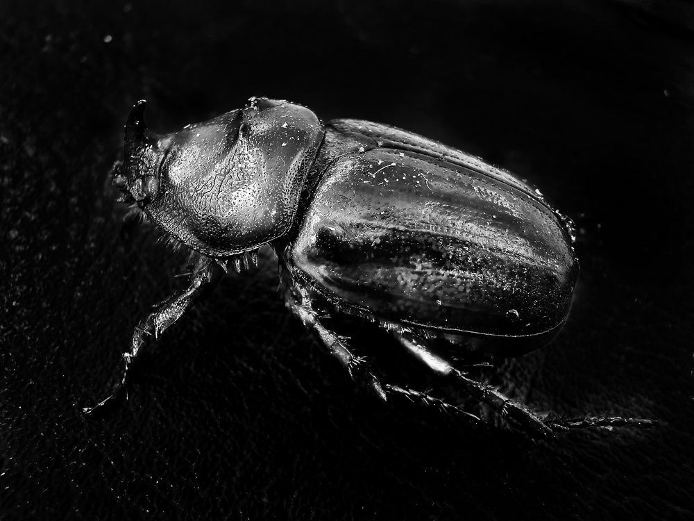 Photograph by Любовь Тарасюк