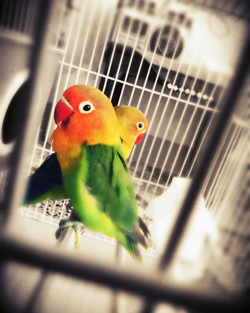 Photograph by fatameh haddadzadeh