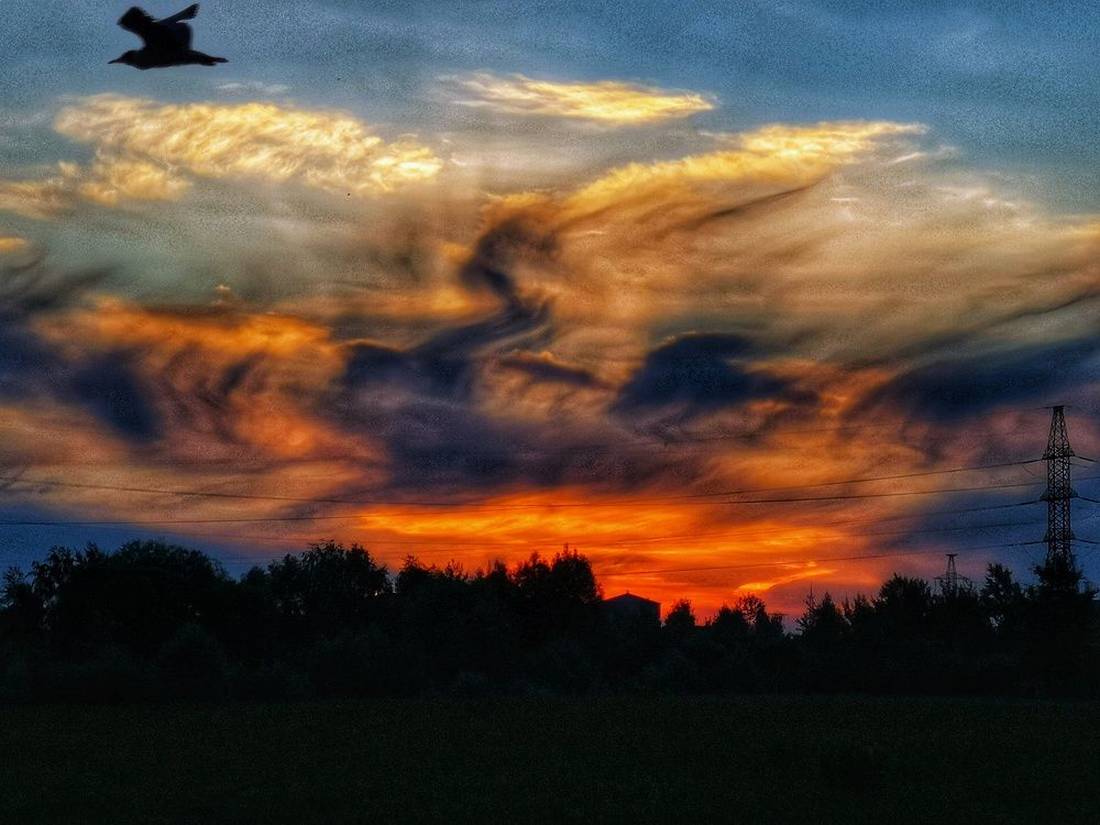 Photograph by Natali