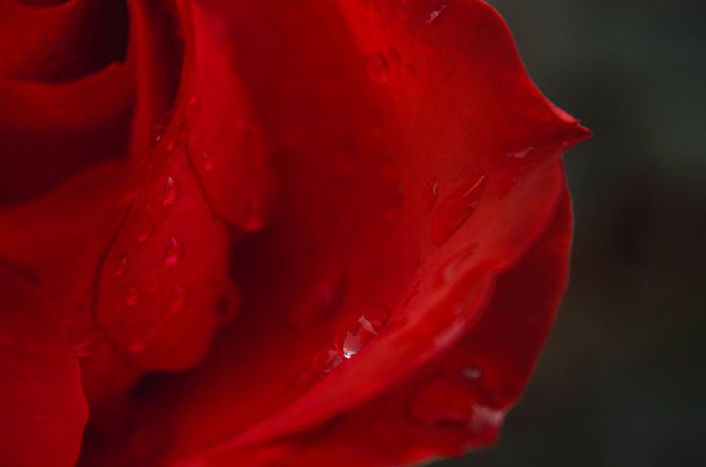 Photograph by Анастасия Тихомирова