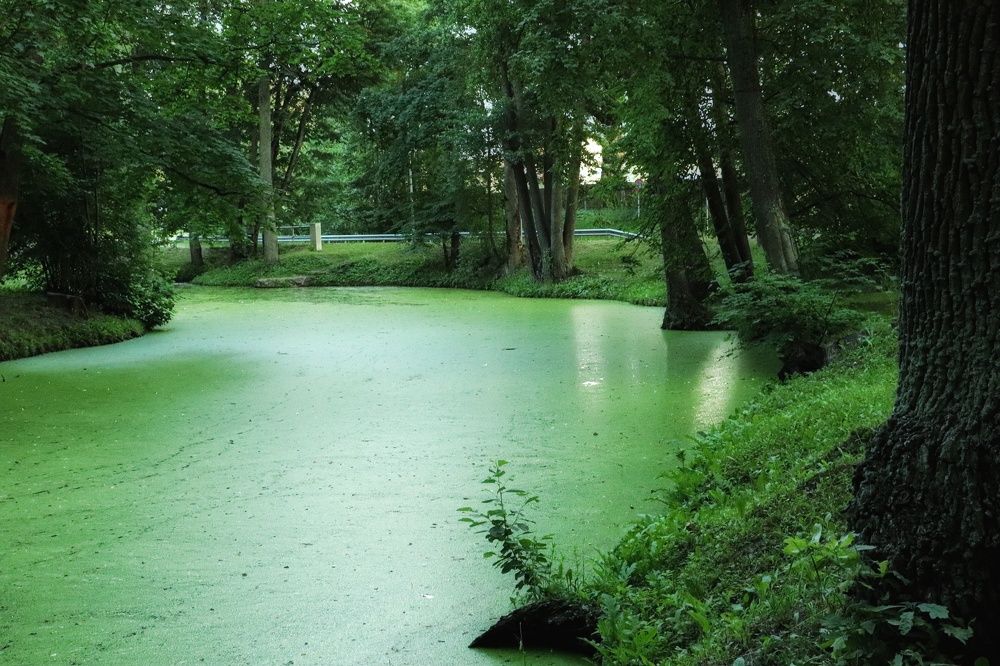 Photograph by Jelena Dzene