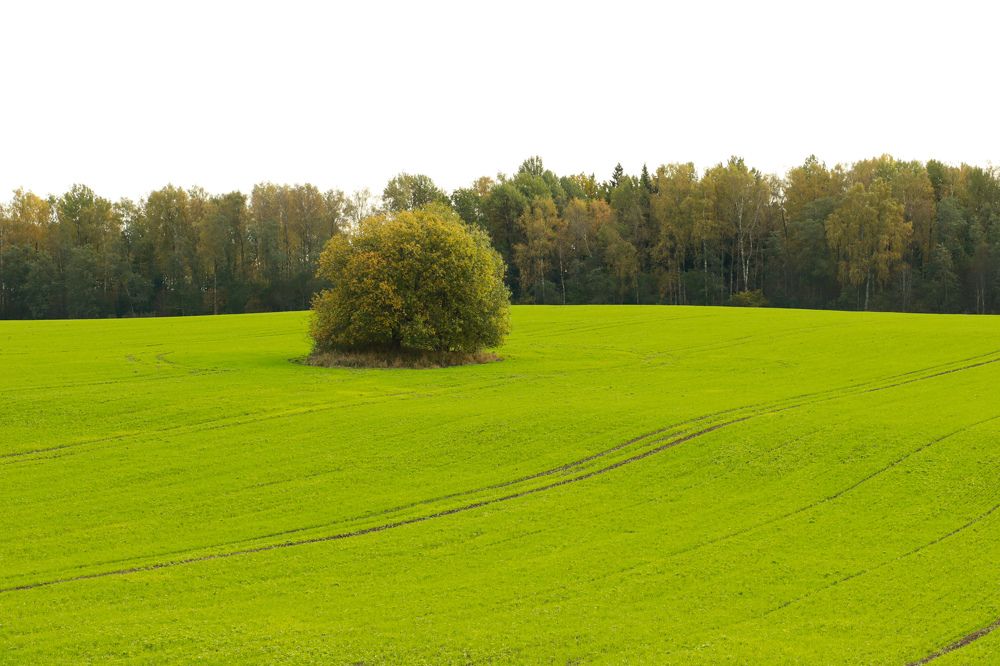 Photograph by Jelena Dzene