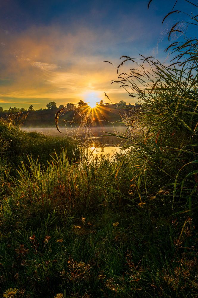 Красивый рассвет у реки