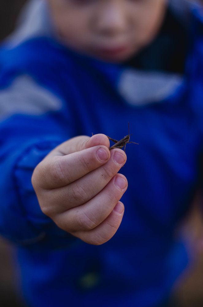 Photograph by Анастасия Тихомирова