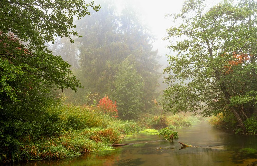 Photograph by Алла Толстая