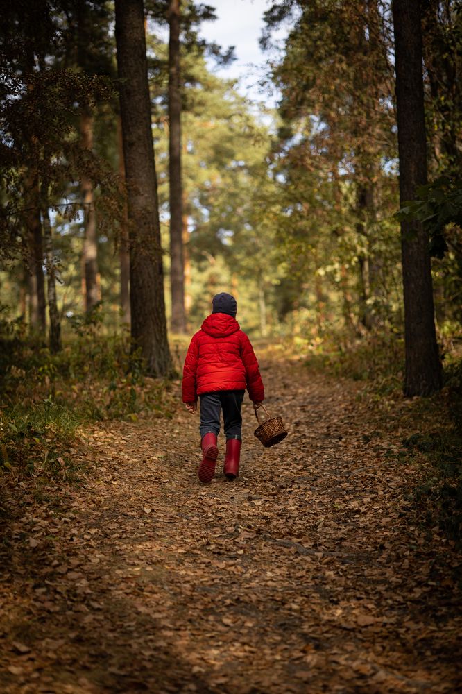 Photograph by Ирина Соколова