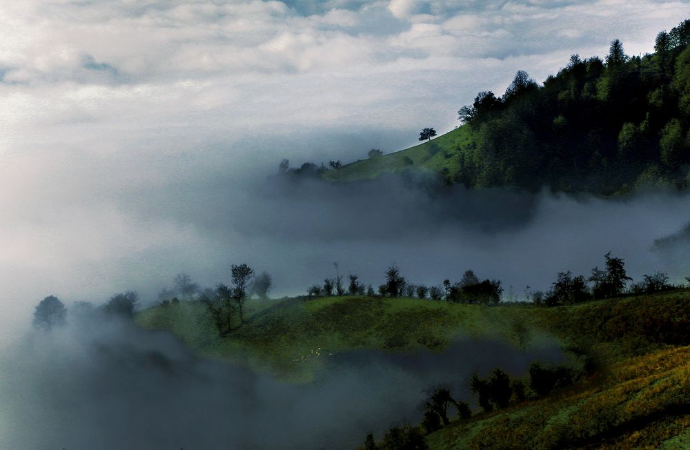 Photograph by Mahdi vagahri shorche