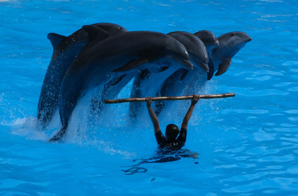 Photograph by ЗОЯ МЕДВЕДЕВА