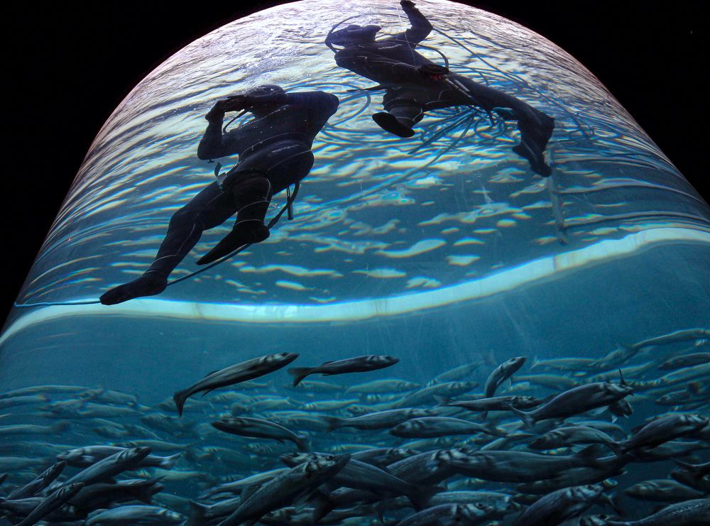 Photograph by ЗОЯ МЕДВЕДЕВА