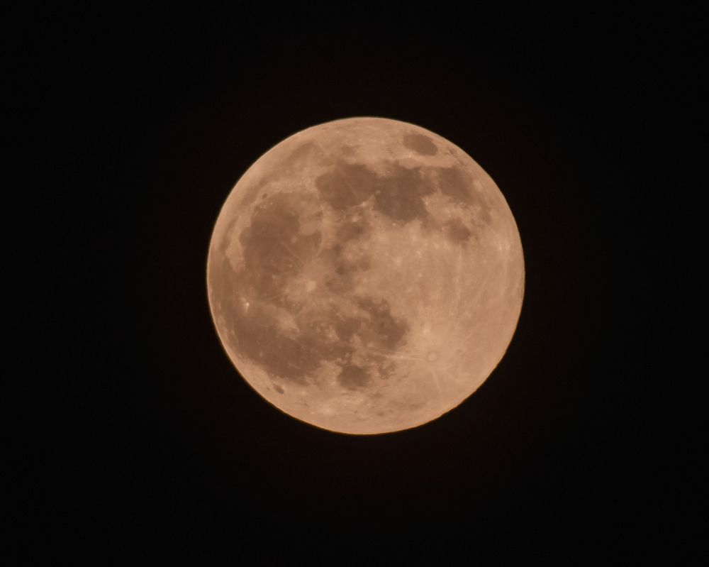 Photograph by Тамара Вотинцева