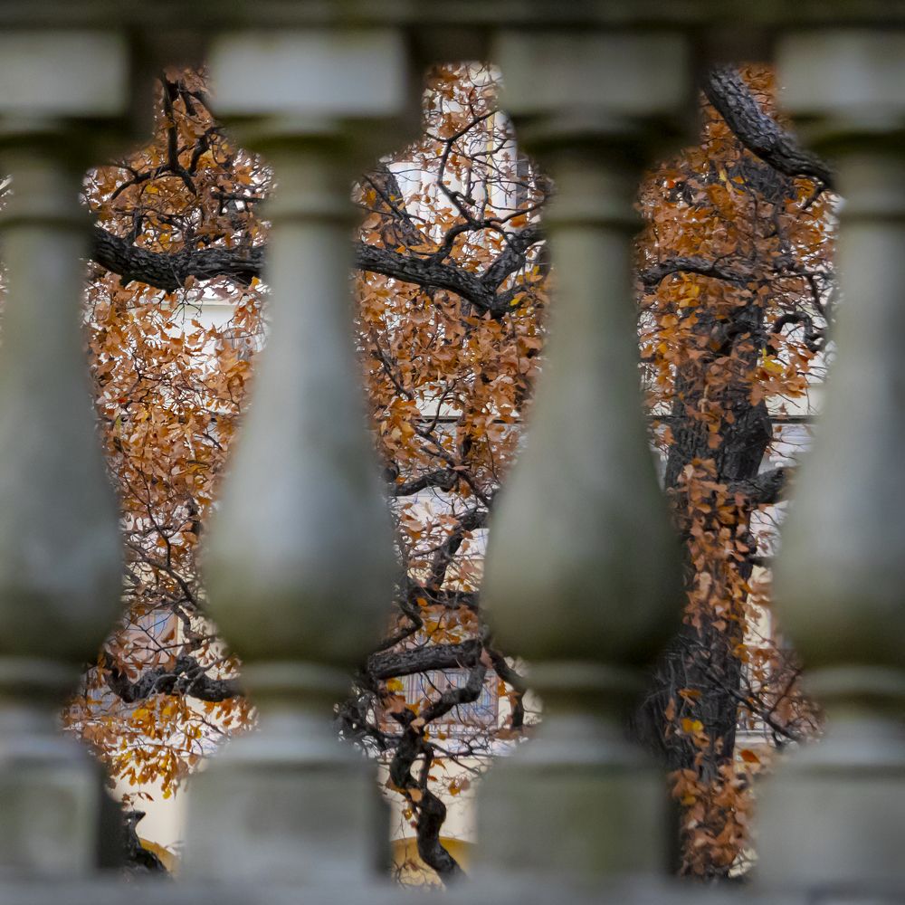 Photograph by Юлия Куликова