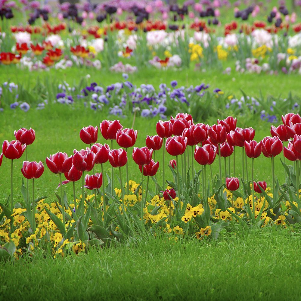 Photograph by Saeid Rabiezadeh