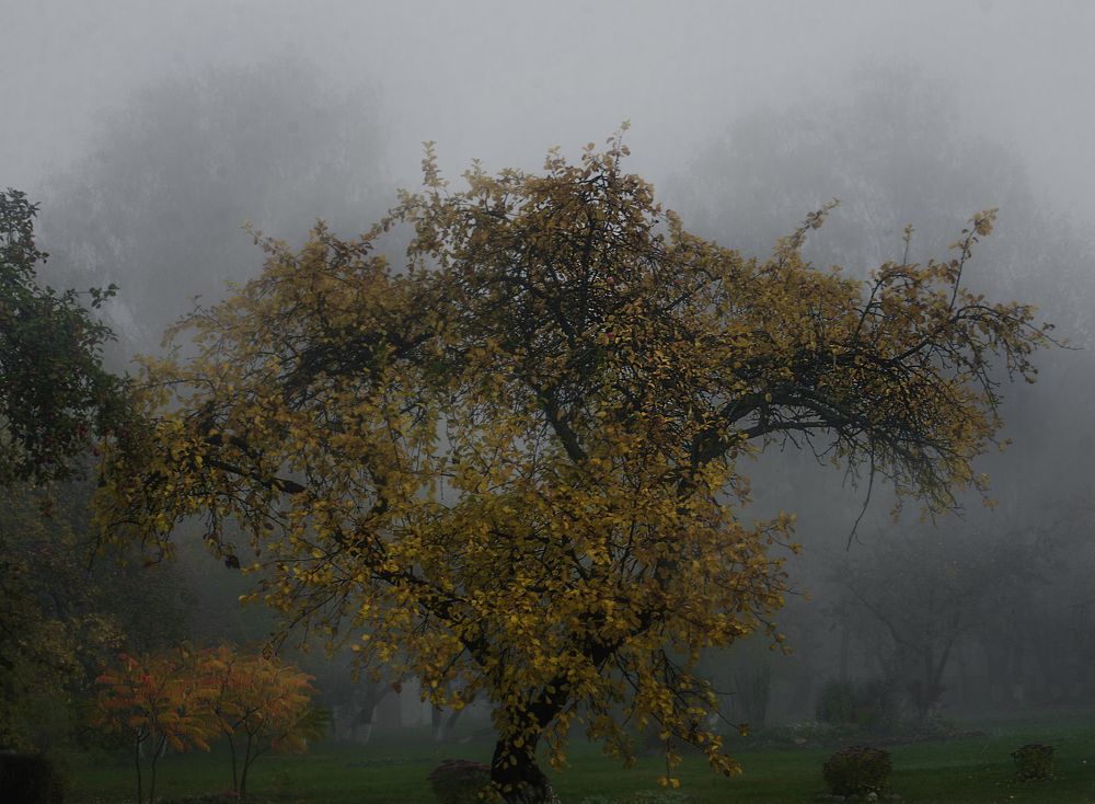 Photograph by Андрей Емельянов