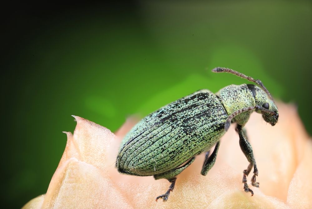 Photograph by Владимир Борозенец