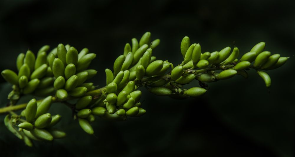 Photograph by Андрей Емельянов