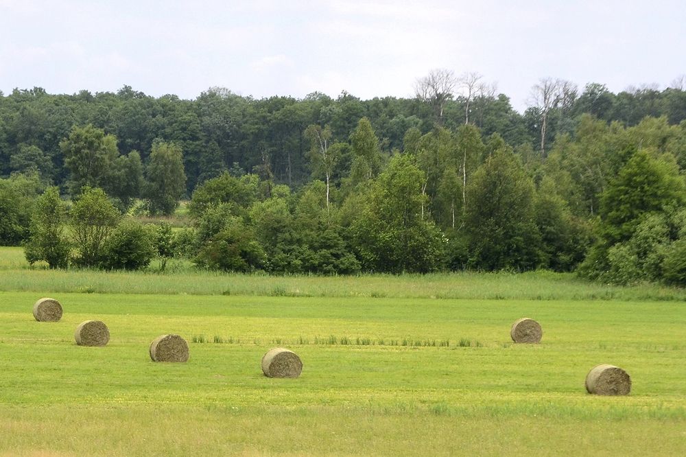 Photograph by Saeid Rabiezadeh