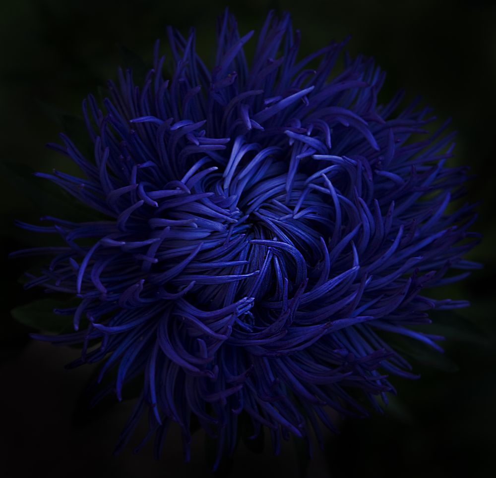 Photograph by Андрей Емельянов