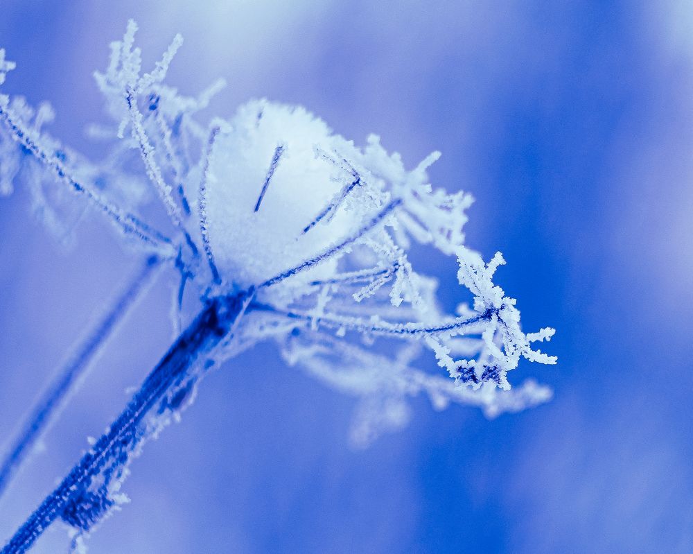 Photograph by Wrapper